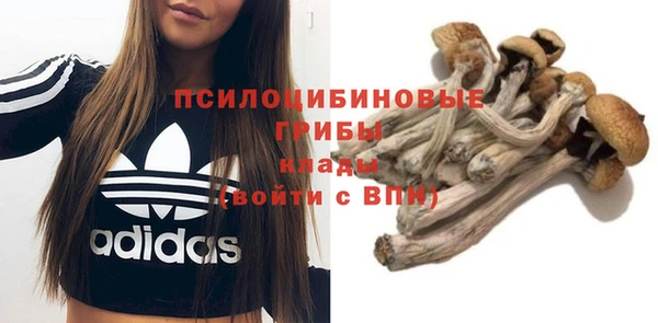 стафф Алапаевск