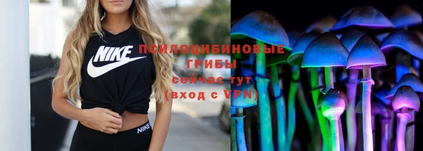 альфа пвп Медногорск