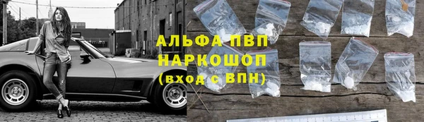 ECSTASY Медвежьегорск