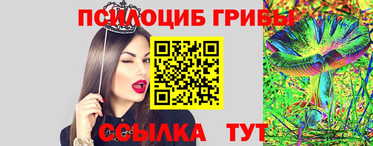 Псилоцибиновые грибы Psilocybine cubensis Рубцовск
