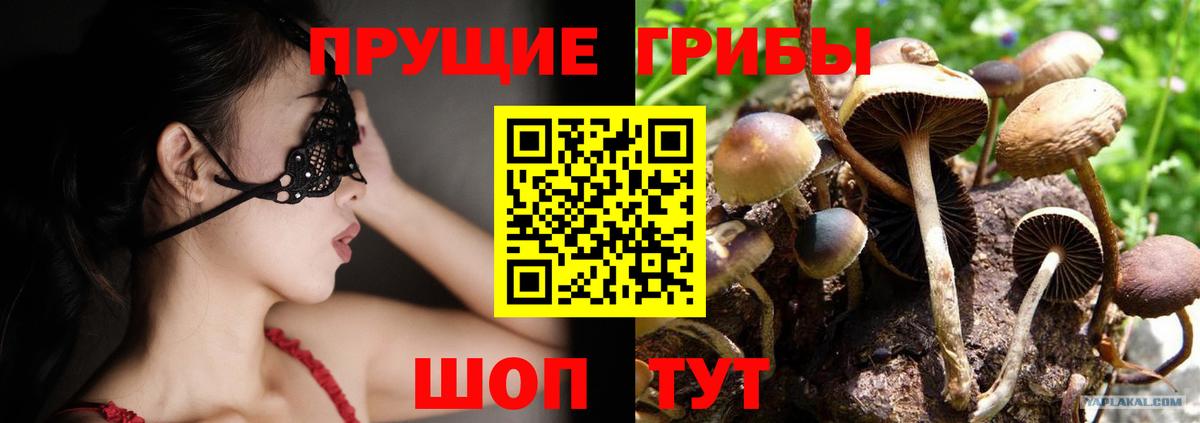 Галлюциногенные грибы GOLDEN TEACHER Рубцовск