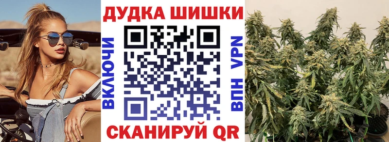 Бошки Шишки VHQ Рубцовск